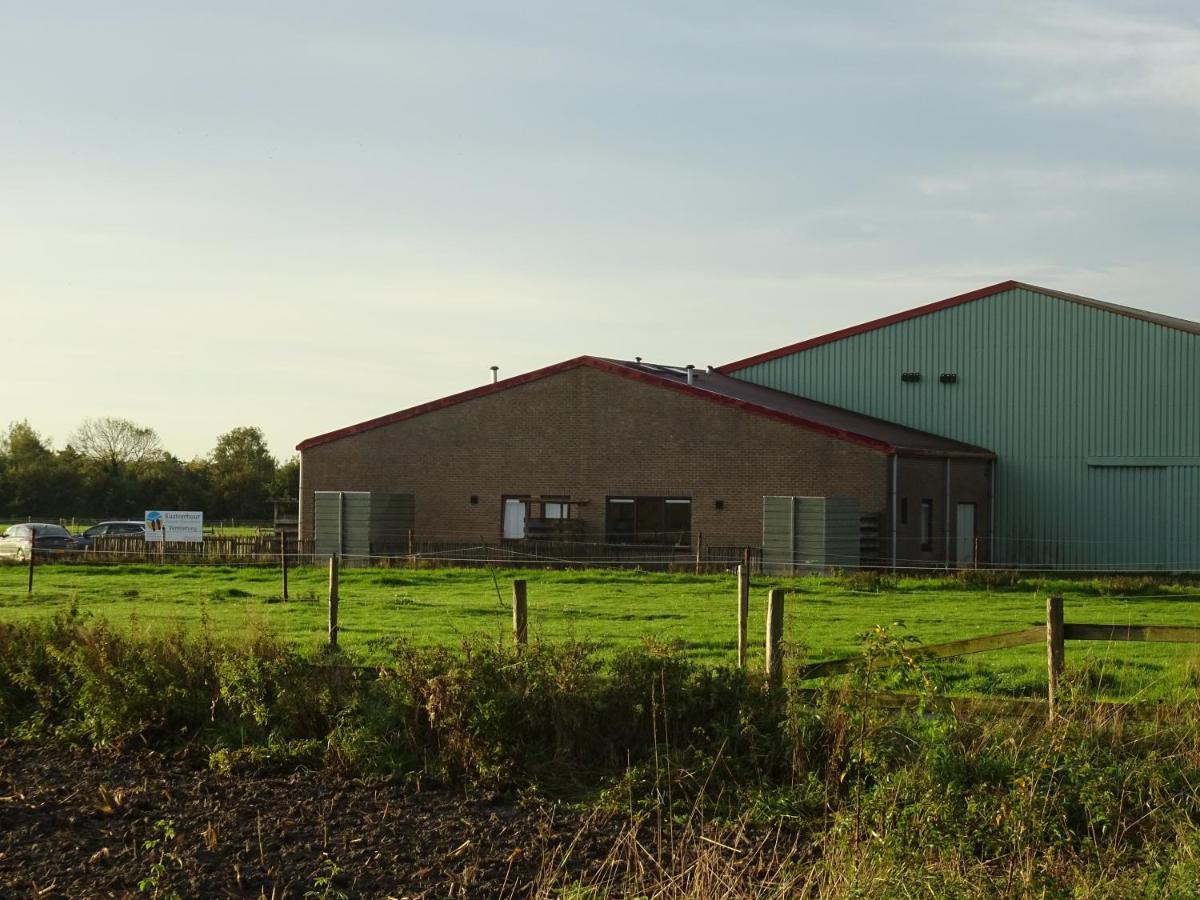 Kustverhuur, Oude Manege Nieuwvliet, Nieuwvliet 3 - 9 Zewnętrze zdjęcie